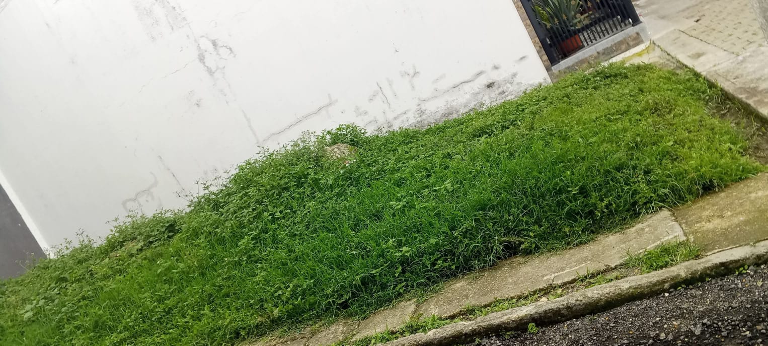 Foto de Excelente Lote Esquinero en El Progreso, Cachipay